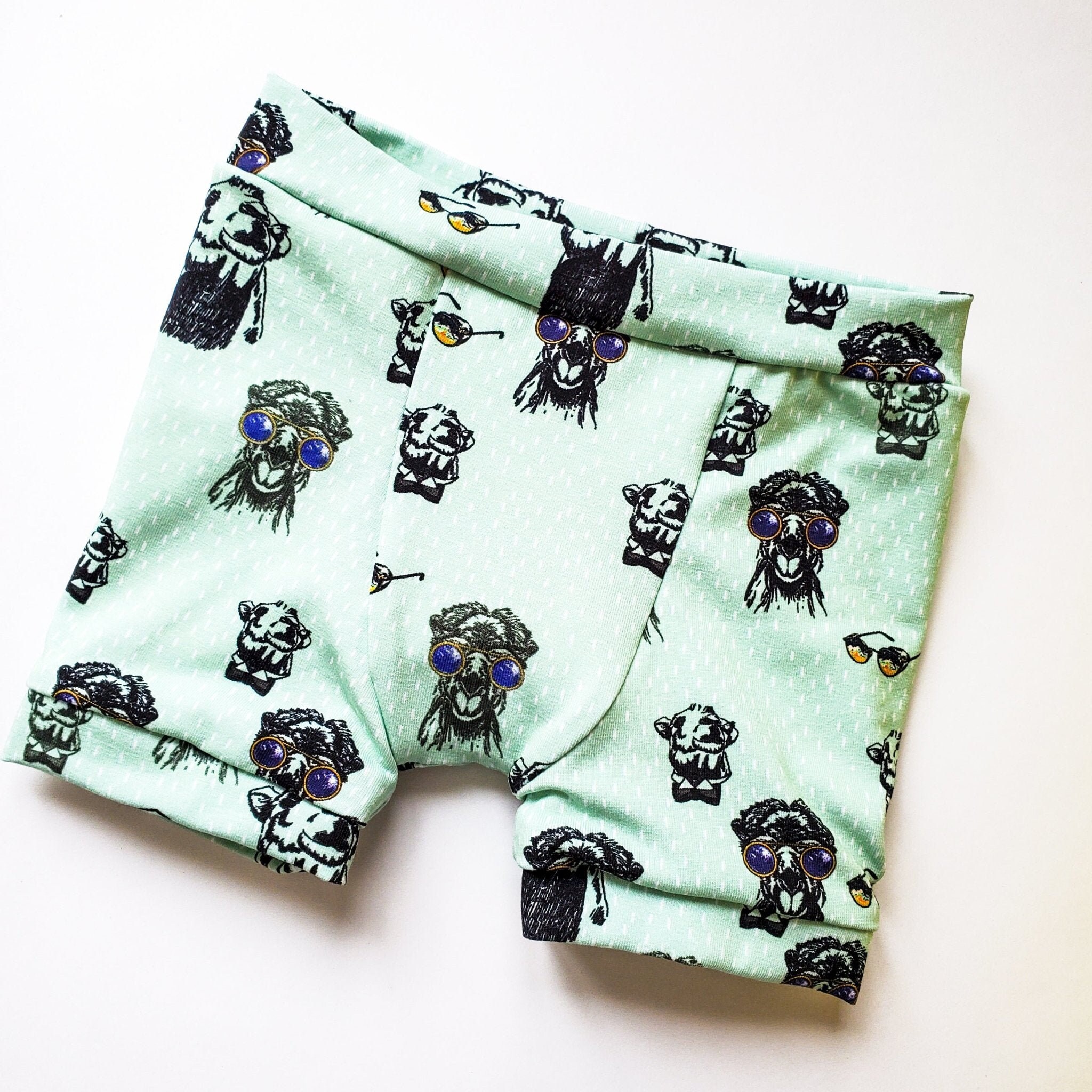Are Boxers Easy To Potty Train