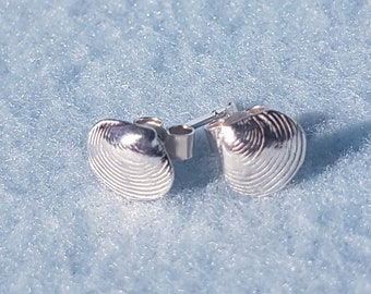 Silver Shell Earrings// Solid sliver flat shell stud earrings