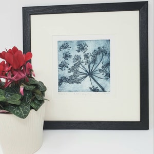 Cow parsley print//fine art etching//unframed
