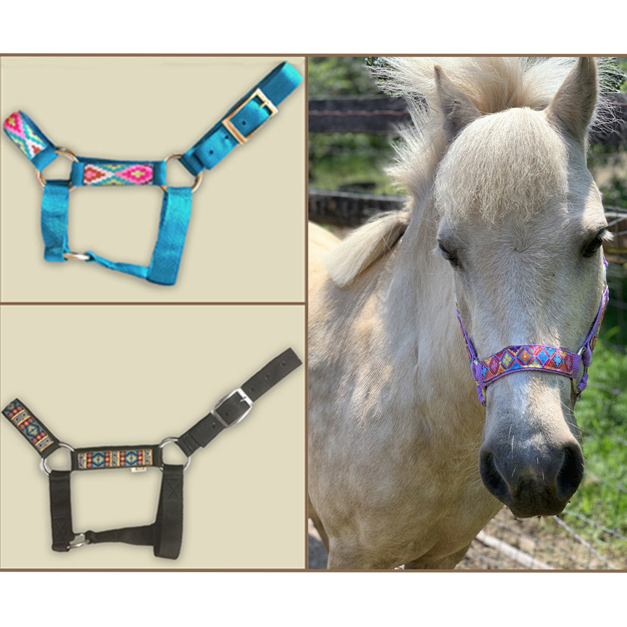 Miniature Horse Halters For Sale at Rachel Taylor blog