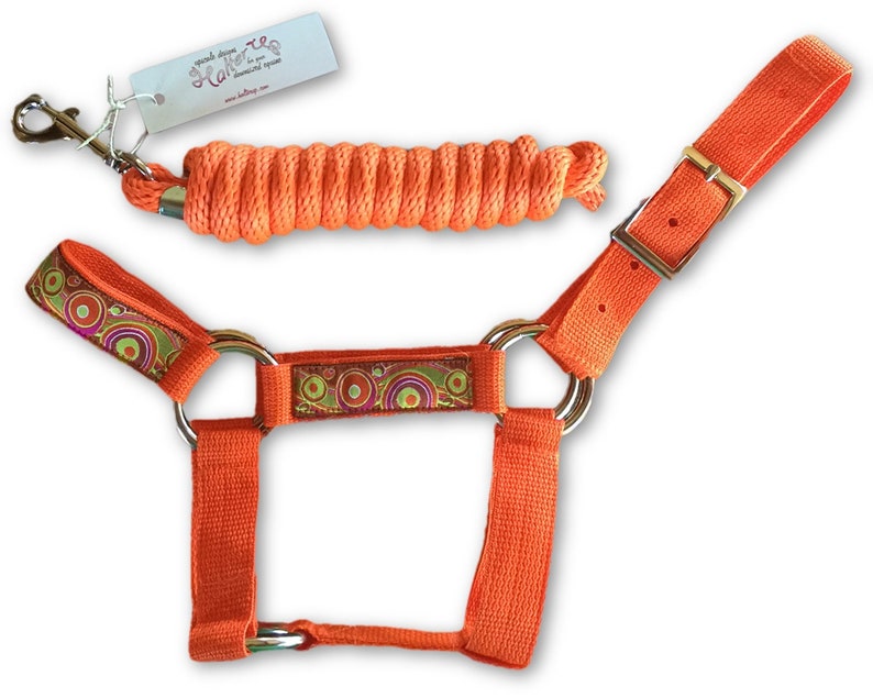 Miniature Horse Halter /& Lead Rope bundle Choose color