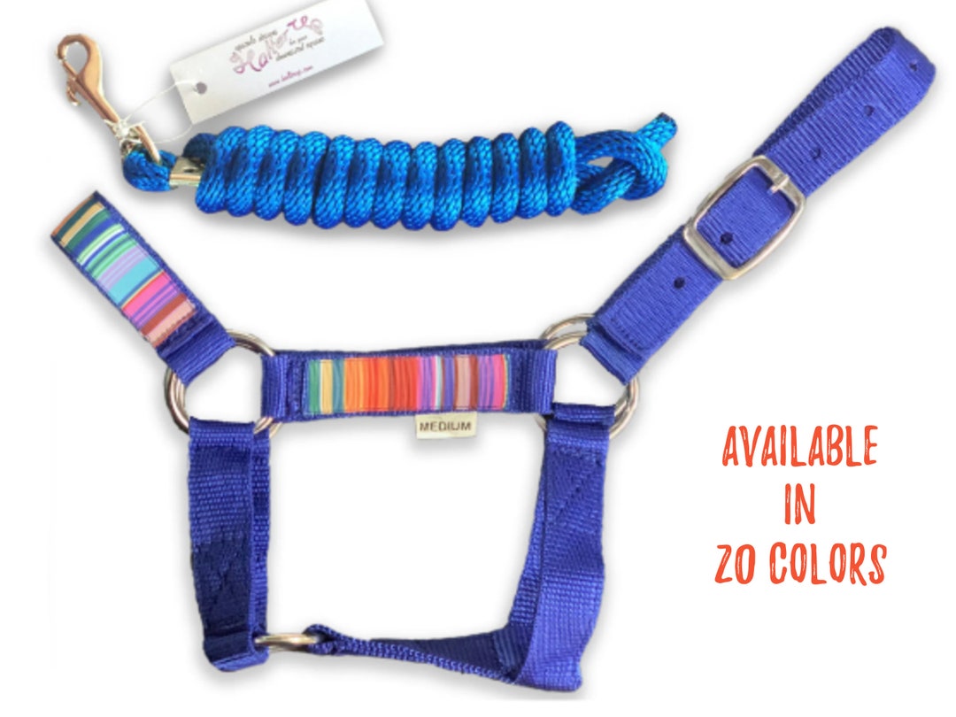 Miniature Horse Halter & Lead Rope Bundle choose Color Etsy