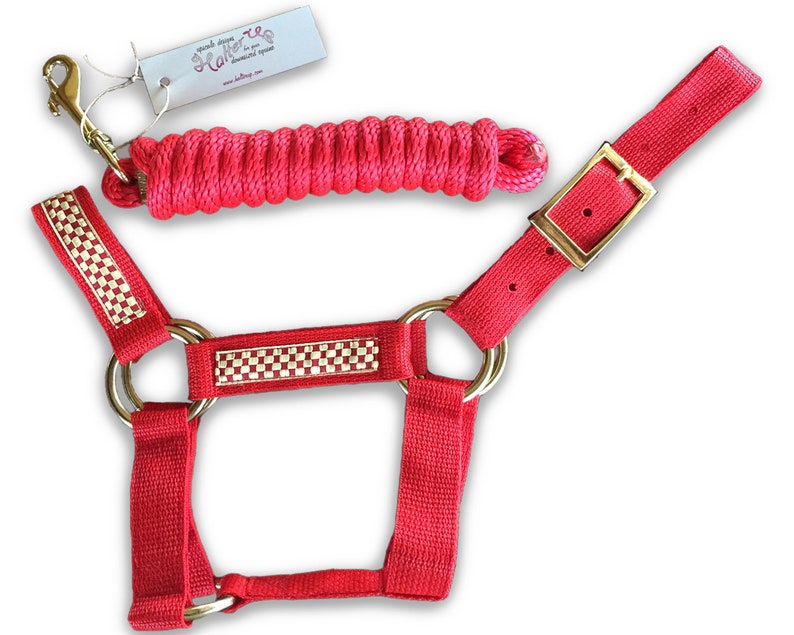 Download Miniature Donkey Halter & Lead Rope bundle Choose color | Etsy