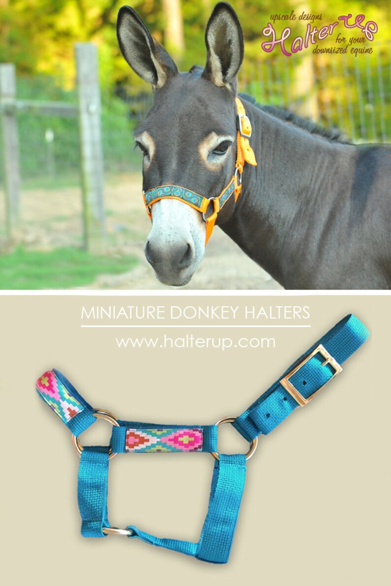 Miniature Donkey Halter W/ Overlay choose Color Mini Donkey Etsy