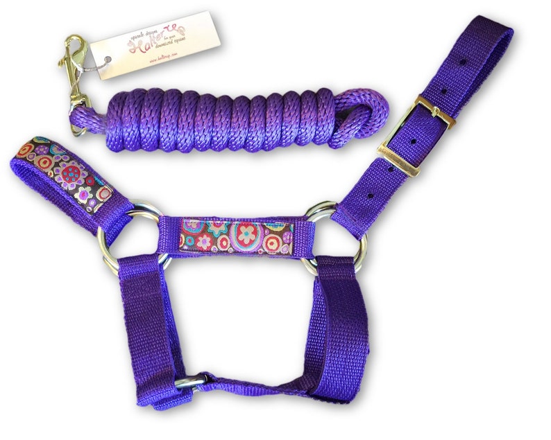 Miniature Horse Halter /& Lead Rope bundle Choose color