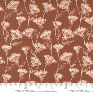 May include: A brown fabric with a white floral pattern. The flowers are stylized and resemble Queen Anne's Lace. The fabric has a subtle texture and a matte finish.