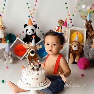 May include: A baby boy wearing a red suspender outfit and a colorful birthday hat sits in front of a white cake with animal figurines. The cake is decorated with colorful sprinkles. The baby is surrounded by stuffed animals, including a panda, a deer, a lion, and an elephant.