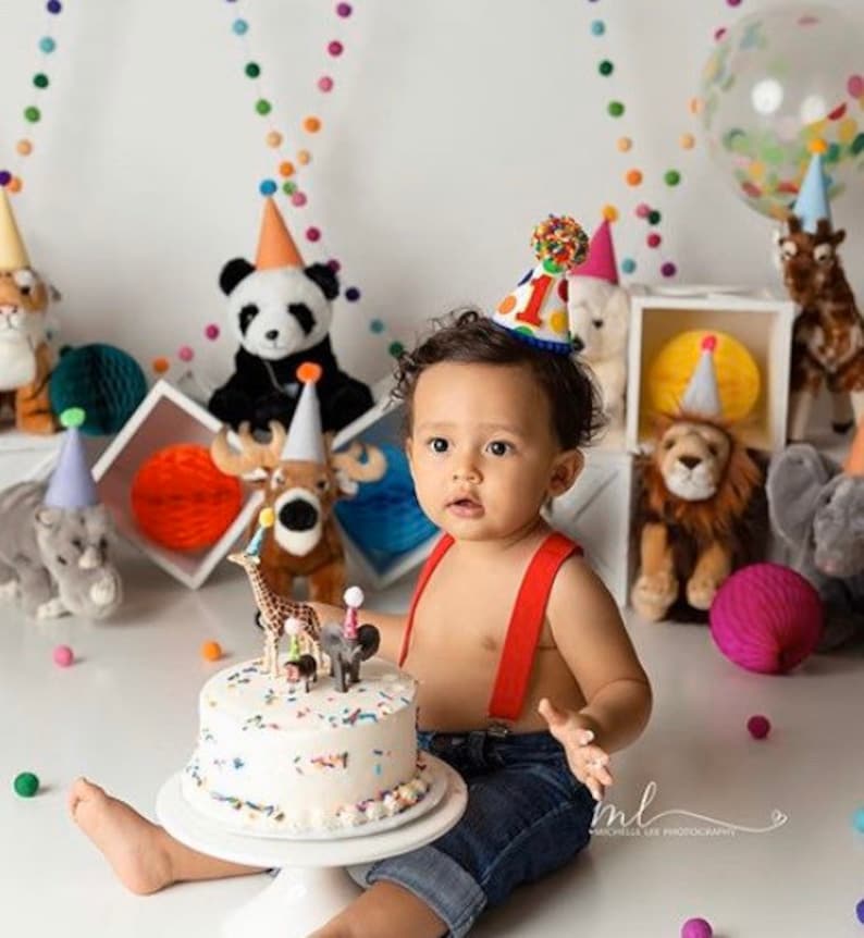 May include: A baby boy wearing a red suspender outfit and a colorful birthday hat sits in front of a white cake with animal figurines. The cake is decorated with colorful sprinkles. The baby is surrounded by stuffed animals, including a panda, a deer, a lion, and an elephant.