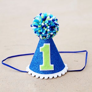 Boy 1st Birthday Hat - Mini Blue and Green Party Hat - Dog Birthday Party Hat- Lil Monster Party Hat