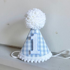 Boy 1st Birthday Hat - Blue Gingham Party Hat - Boy First Birthday Hat - Dog Birthday Hat