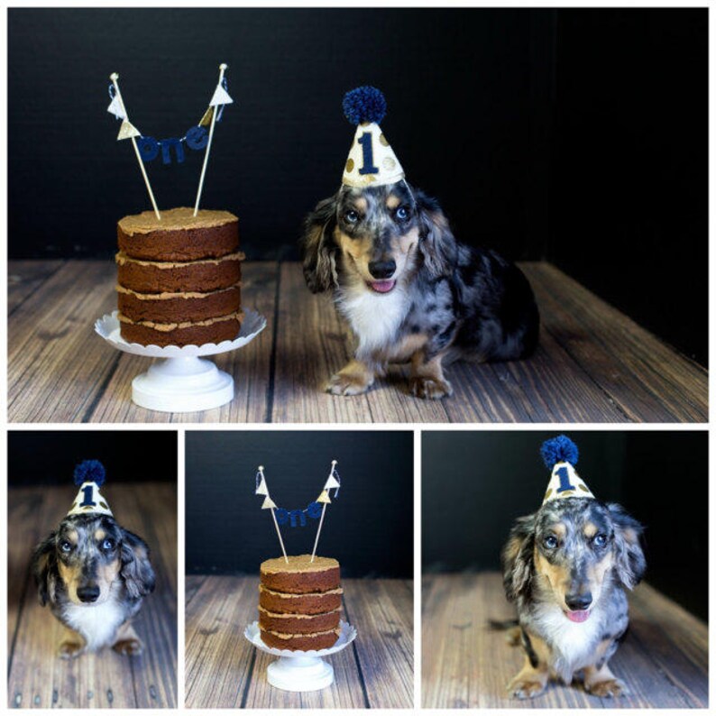 Dog Birthday Hat Pet Party Hat Dog 1st Birthday Puppy Etsy