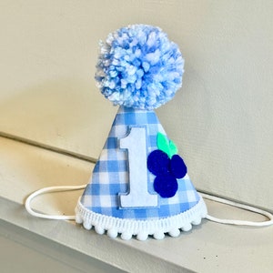 Blueberry Birthday Hat - Berry First Birthday Hat - Blueberry Party Hat - Berry Sweet 1st Birthday