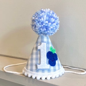 Blueberry Birthday Hat - Berry First Birthday Hat - Blueberry Party Hat - Berry Sweet 1st Birthday