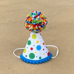 Birthday Party Hat- Boy First Birthday Hat-Primary Colors Mini Party Hat - Dog Birthday Hat - Confetti - Sprinkles