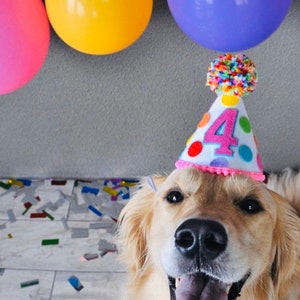 Puede incluir: Un perro golden retriever con un gorro de cumplea&ntilde;os rosa y blanco con lunares de colores y el n&uacute;mero "4" en &eacute;l. El perro est&aacute; mirando a la c&aacute;mara y tiene una expresi&oacute;n feliz en su rostro.