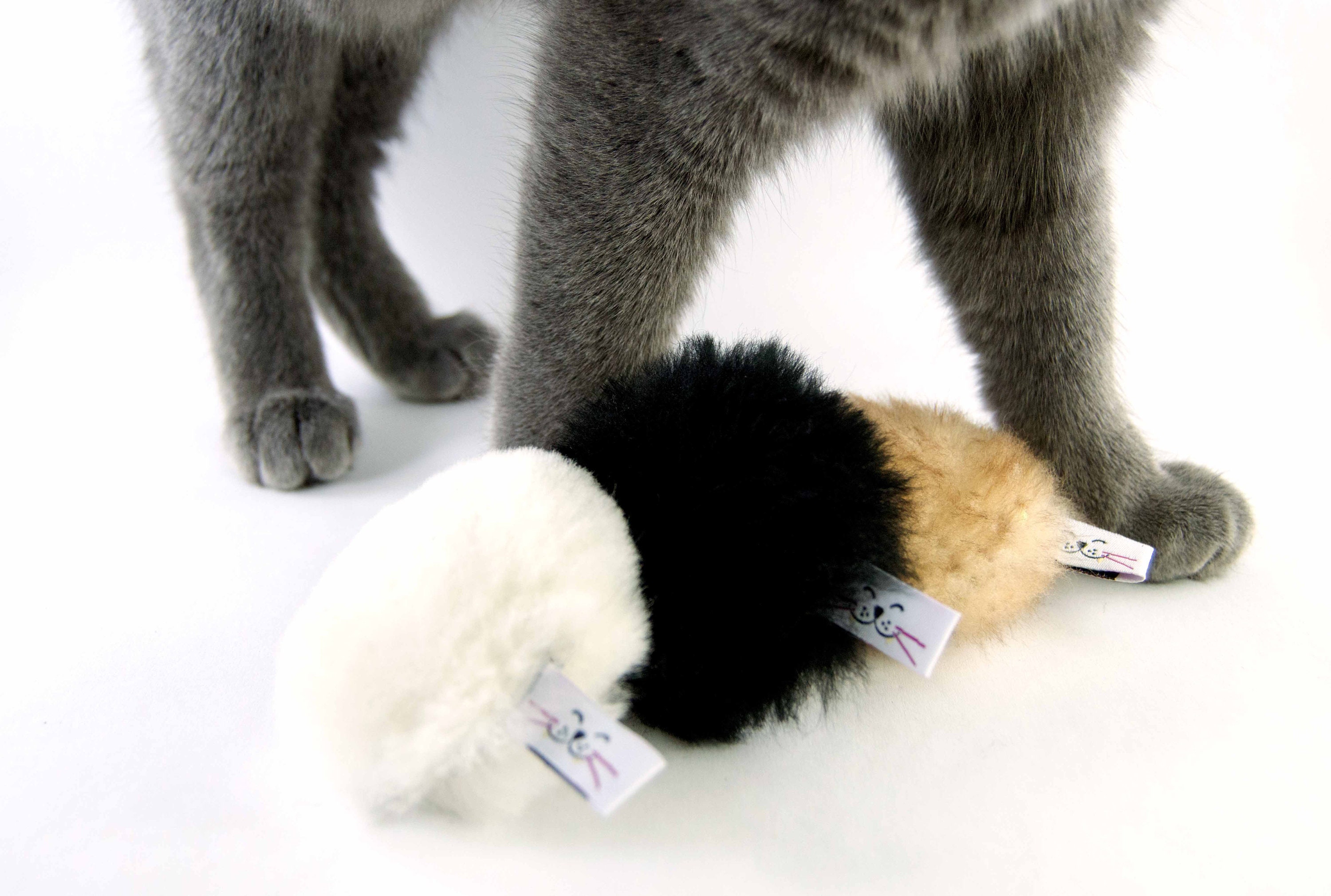 Cat Fetch Toys Real Fur Cat Toy Baby Biscuits Gift Pack Etsy