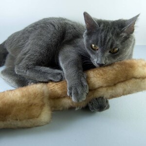 K&ouml;nnte beinhalten: Eine graue Katze mit gelben Augen spielt mit einem braunen und wei&szlig;en Kunstfellspielzeug.