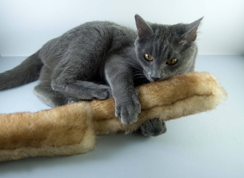 K&ouml;nnte beinhalten: Eine graue Katze mit gelben Augen spielt mit einem braunen und wei&szlig;en Kunstfellspielzeug.