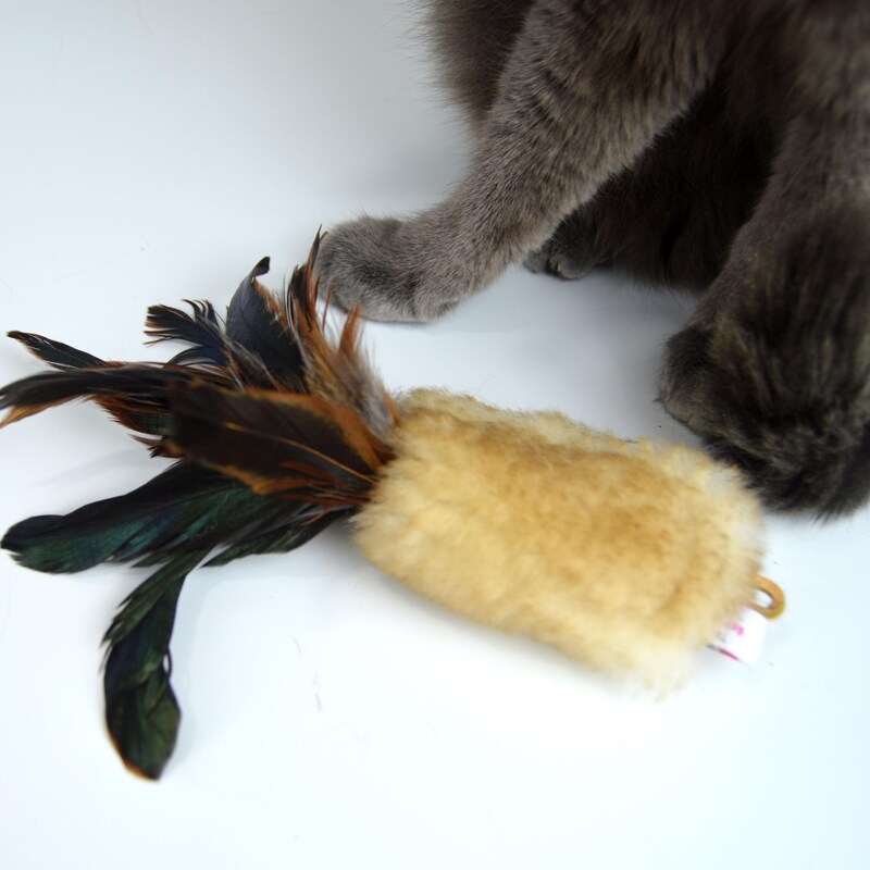 Picture of TheEcstaticCat - Etsy