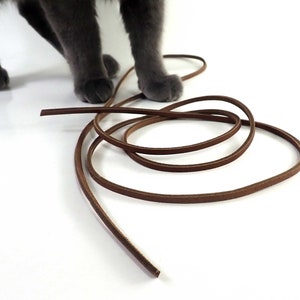 May include: A brown leather cord is coiled on a white surface. A gray cat's paws are visible in the background.
