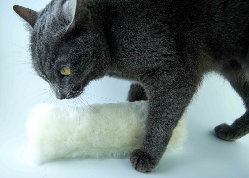 Cat Toys Cat Kicker Toy Cat Kicker Stick Kitty Kicker Kick Etsy