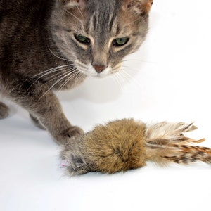 Rabbit Fur and Feathers Cat Toy, Ethical Fur, Fetch Toy, Teaser Toy, Rattle Cat Toy, Real Rabbit Fur Cat Toy image 3