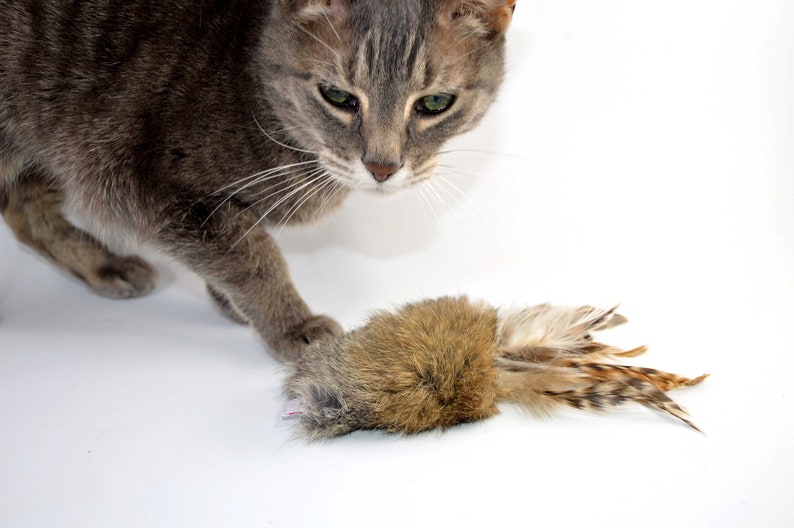 Rabbit Fur and Feathers Cat Toy, Ethical Fur, Fetch Toy, Teaser Toy, Rattle Cat Toy, Real Rabbit Fur Cat Toy image 3