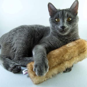 K&ouml;nnte beinhalten: Eine graue Katze mit gelben Augen liegt auf einem braunen, flauschigen Spielzeug. Die Katze schaut direkt in die Kamera.