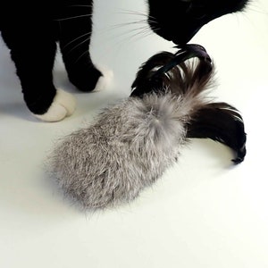 Feather Cat Toy 