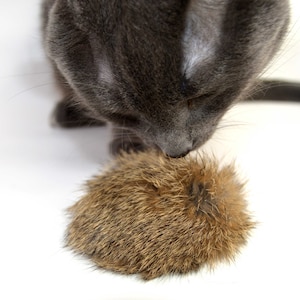 Bat Around Biscuit: Real Rabbit Fur Catnip and Rattle Toy