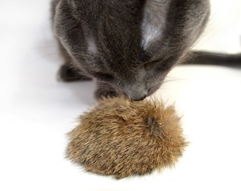 Rabbit Fur Cat Fetch Toy, Catnip Toy, Cat Chase Toy, Rattle Cat Toy, Rabbit Fur Biscuit