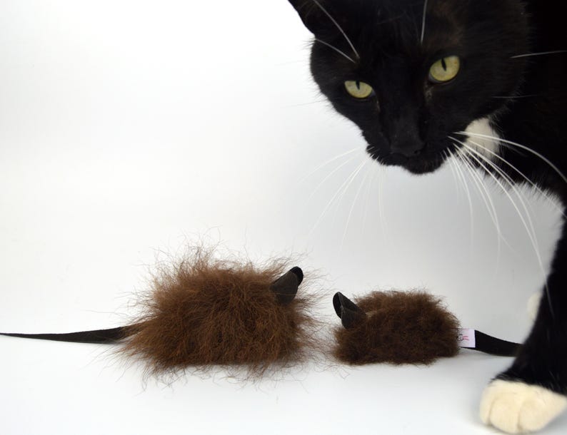 real buffalo bison fur cat toy mouse