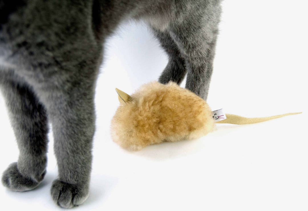 Unique Cat Toy Mouse, Big Cat Toy, Catnip Toy, Toys for Cats, Catnip