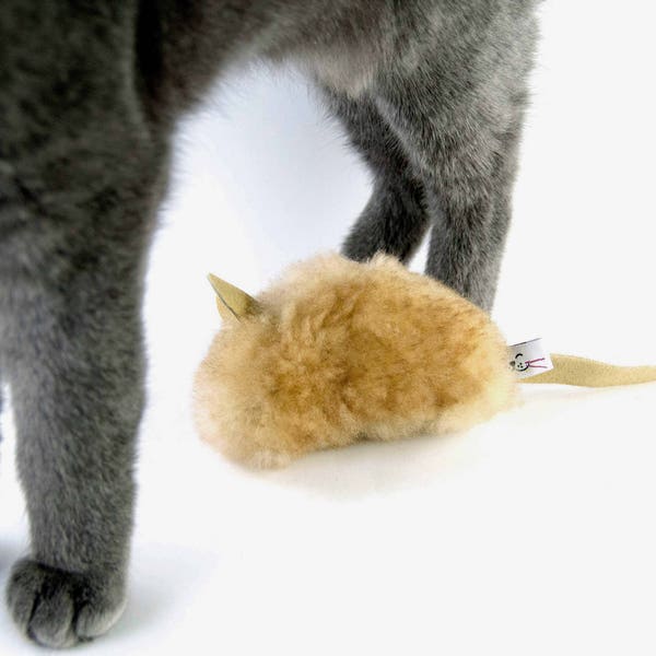 Unique Cat Toys Etsy