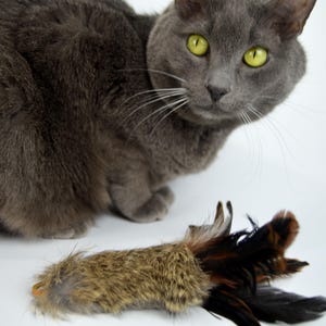 Refill Attachment Rabbit Fur and Feather Teaser Wand: Cat Lure Toy