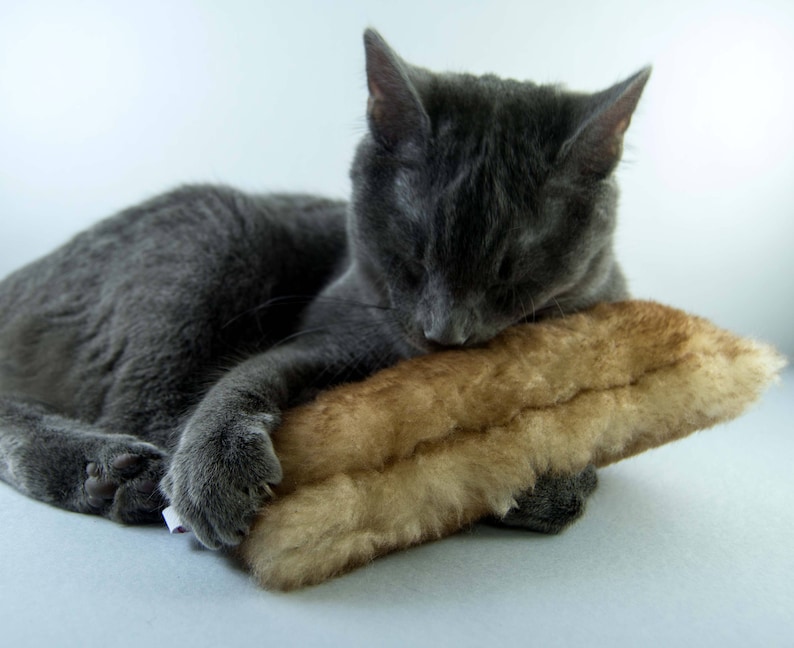 K&ouml;nnte beinhalten: Eine graue Katze mit geschlossenen Augen schl&auml;ft auf einem braunen und beigefarbenen Fellkissen.