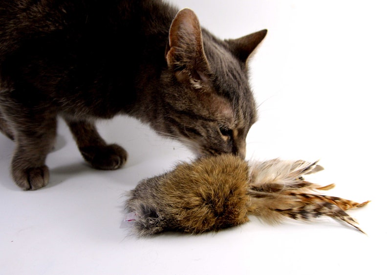 Rabbit Fur and Feathers Cat Toy, Ethical Fur, Fetch Toy, Teaser Toy, Rattle Cat Toy, Real Rabbit Fur Cat Toy image 1