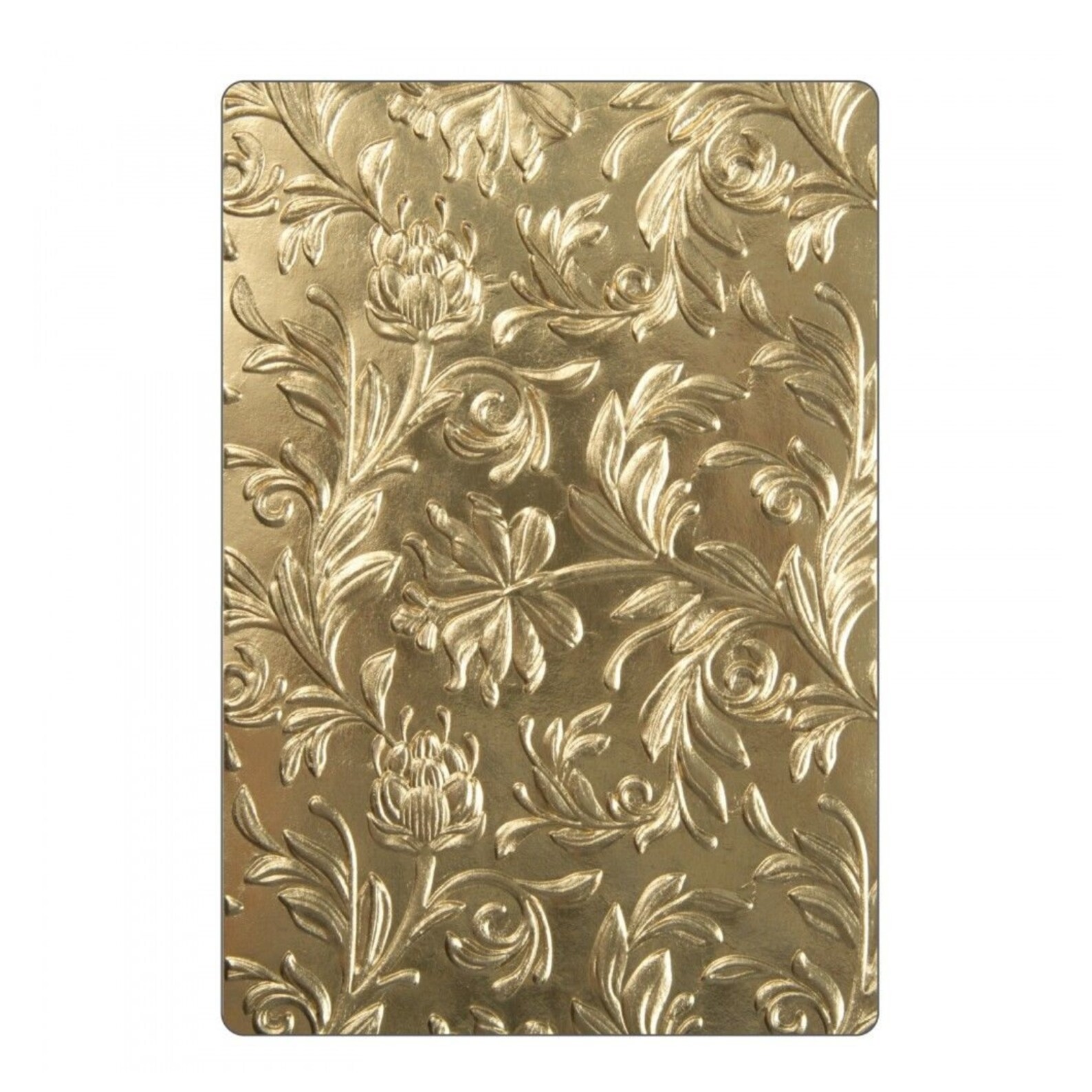 Embossing Folder Botanical Flowers 3D Sizzix Tim Holtz 662716 Etsy