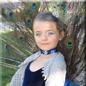 Peacock Pageant Dress, Peacock Halloween Costume, Mardi Gras