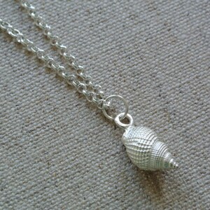 1 pcs chain shell snail noble image 2