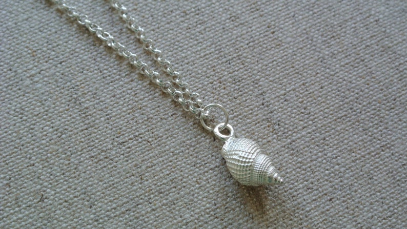 1 pcs chain shell snail noble image 2