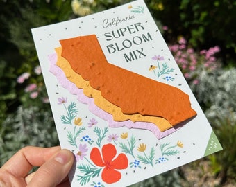 California Gift for Client California Gift for Customer Corporate Gift Personalized California Earth Day Gift for Employees Client Gift CA