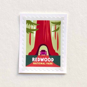 Redwood Tree Sticker California Redwood Sticker National Park Sticker Redwood Souvenir California Camping Sticker Redwood National Park Gift