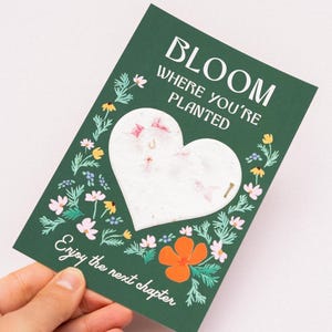 Carte Next Chapter, carte en papier de graines à planter, cadeau de départ à la retraite, fleurir là où vous êtes planté, carte de remise des diplômes, carte d'adieu