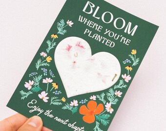 Next Chapter Card, Plantable Seed Paper Card, New Beginnings Retirement Gift, Bloom Where You&#39;re Planted, Graduation Card, Farewell Card