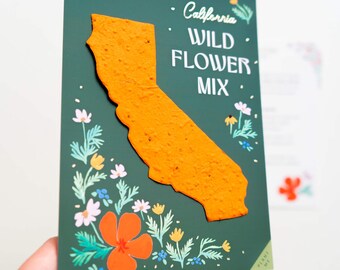 California Poppy Eco-friendly Gift, Plantable Seed Paper, California Postcard, Greetings from California, Golden State Gift, Wildflower Seed