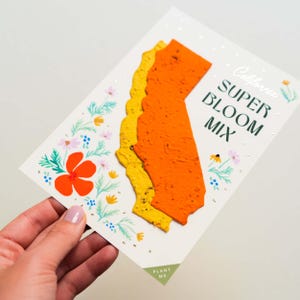 Presente da Califórnia, Lembrancinha de casamento de papel com sementes plantáveis, Cartão de semente de papoula da Califórnia, Cartão postal de boas-vindas à Califórnia, Saudações da Califórnia