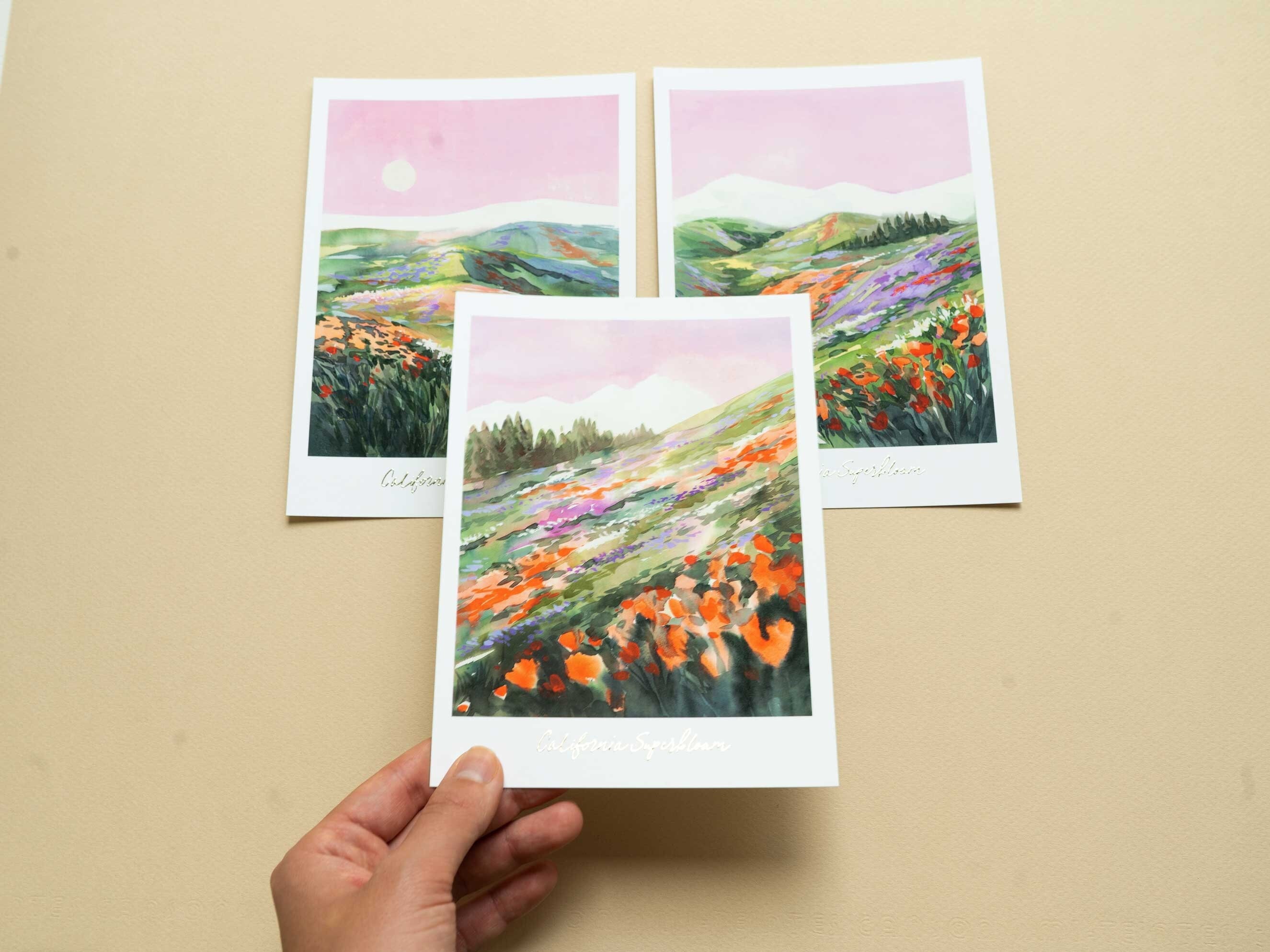 California Poppy Watercolor Postcard Set: Wildflower Art, Travel Souvenir