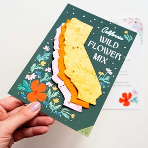 Kit de cultivo da Califórnia, presente para jardineiro, cartões de papel com sementes de flores silvestres da Califórnia, presente de aniversário com tema da Califórnia, sementes de papoulas da Califórnia