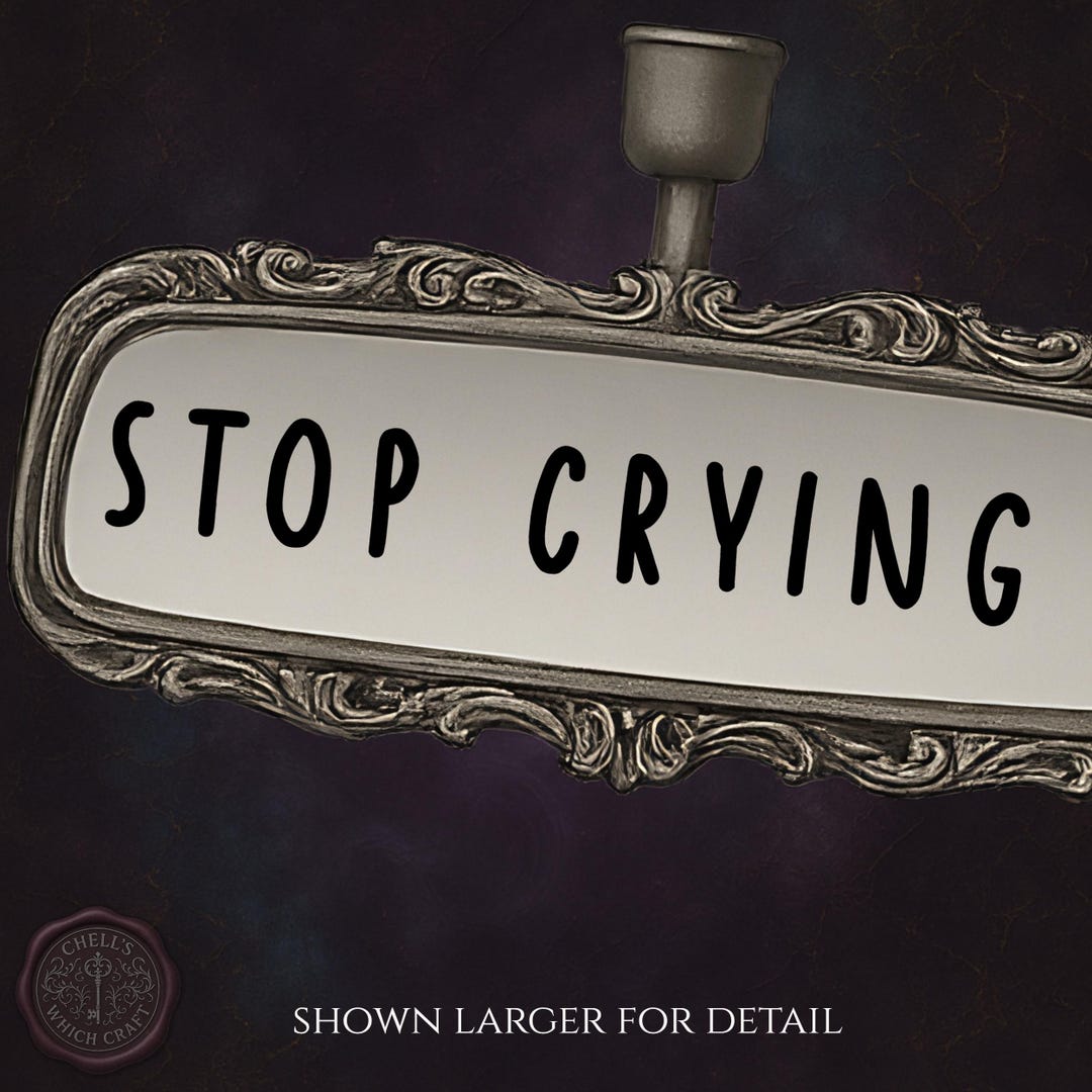 Stop Crying Rearview Mirror Funny Decal - Etsy